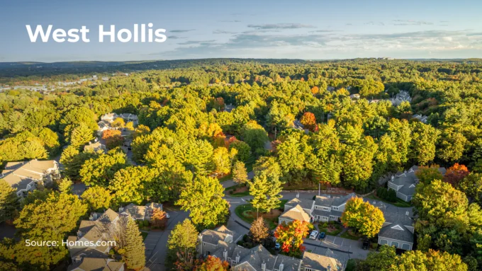 Photo of the West Hollis neighborhood